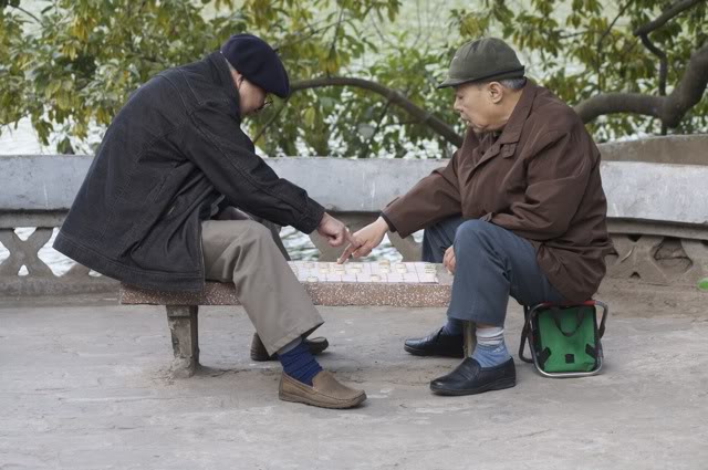 dịch lý việt nam và cách luận