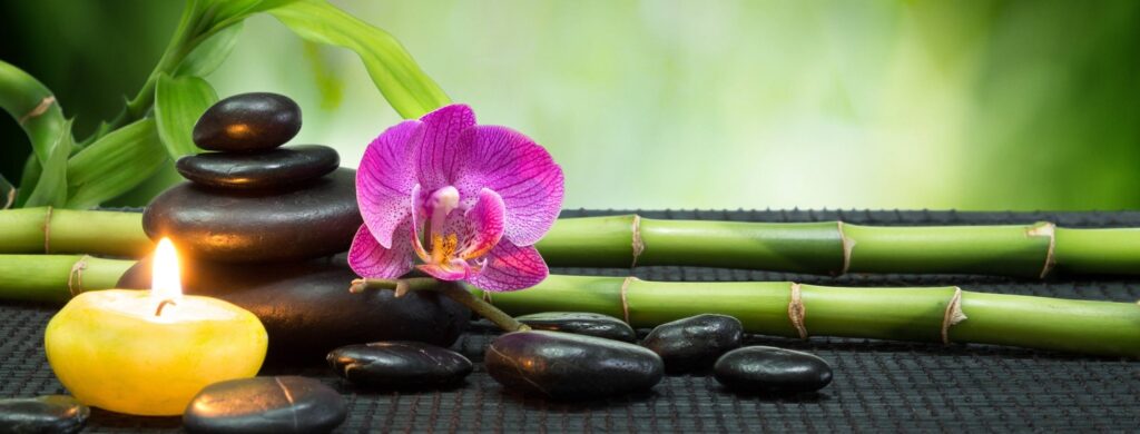 lời nói đầu dịch lý nhập môn